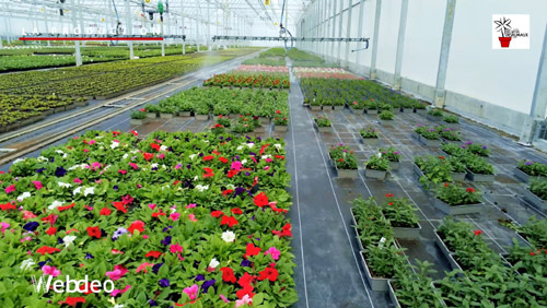 Présentation entreprise - Extrait