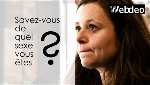 Teaser pour une expostion - Extrait